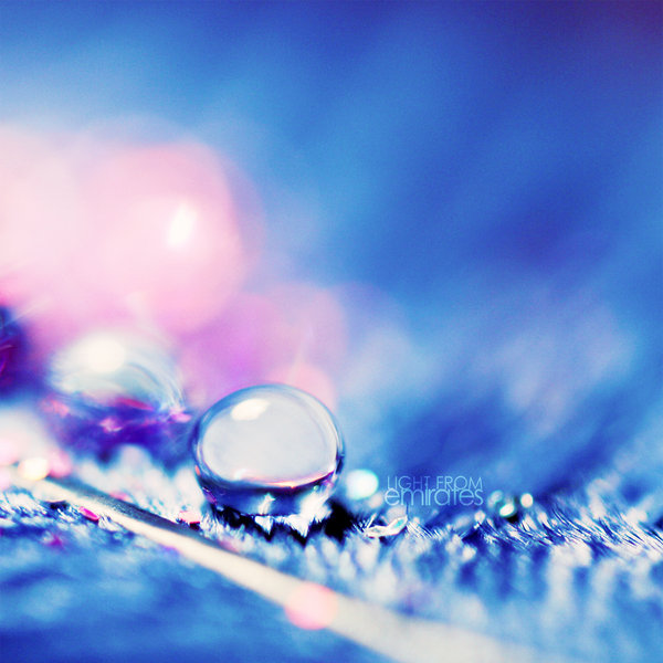 shiny_blue___drop______by_light_from_Emirates (600x600, 71Kb)