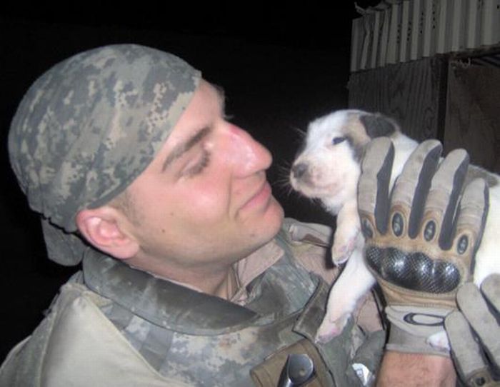 puppy_in_iraq_06 (700x542, 45Kb)