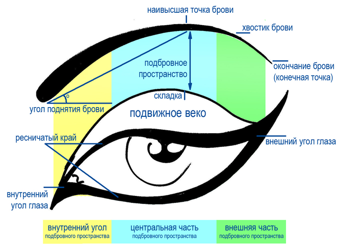 Схема-глаза (700x511, 188Kb)