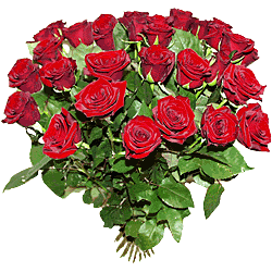 букет алых роз (250x250, 32Kb)