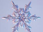 4422882_03small (150x113, 4Kb)