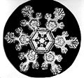 4422882_120pxBentley_Snowflake11 (120x111, 5Kb)