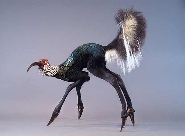 Enrique-Gomez-de-Molina-Taxidermy-Hybrids-3 (600x441, 86Kb)