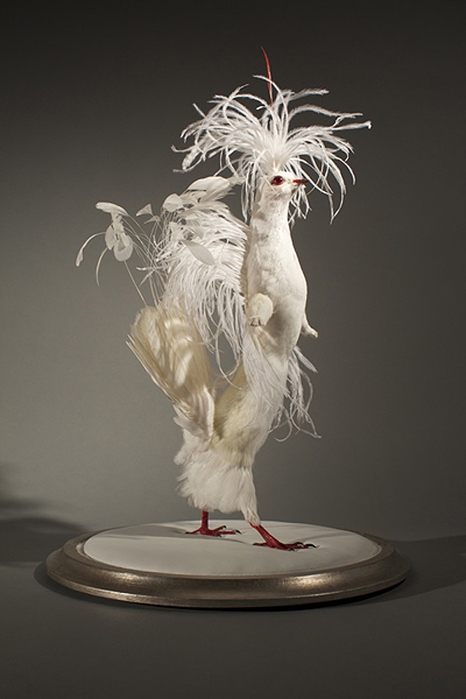 Enrique-Gomez-de-Molina-Taxidermy-Hybrids-7 (466x700, 166Kb)