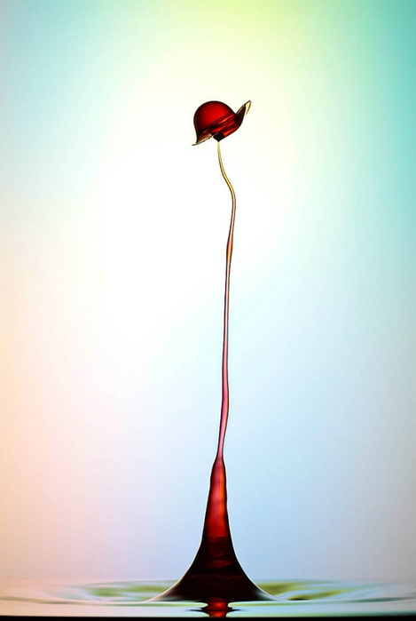 Heinz Maier water drop 4 (469x700, 204Kb)