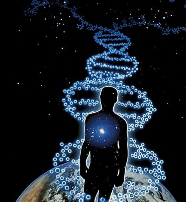 The human dna is a biological internet.