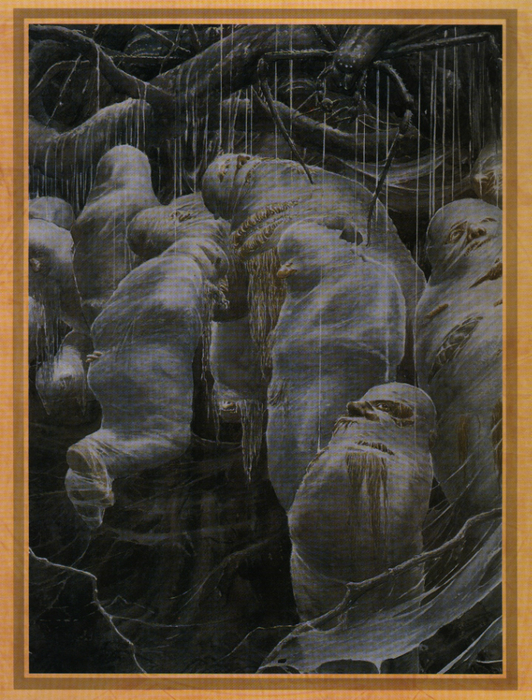 513712618 (532x700, 528Kb)
