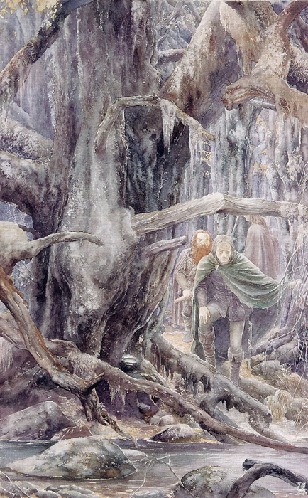 Fangorn Forest (434x700, 506Kb)