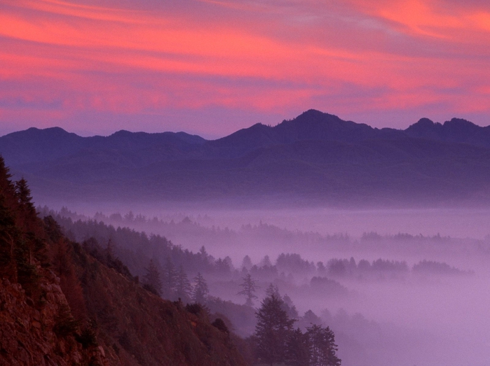 Nehalem River Valley at Sunset, Tillamook County, Oregon (700x523, 210Kb)