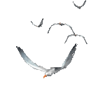 3708564_13958576 (150x133, 21Kb)