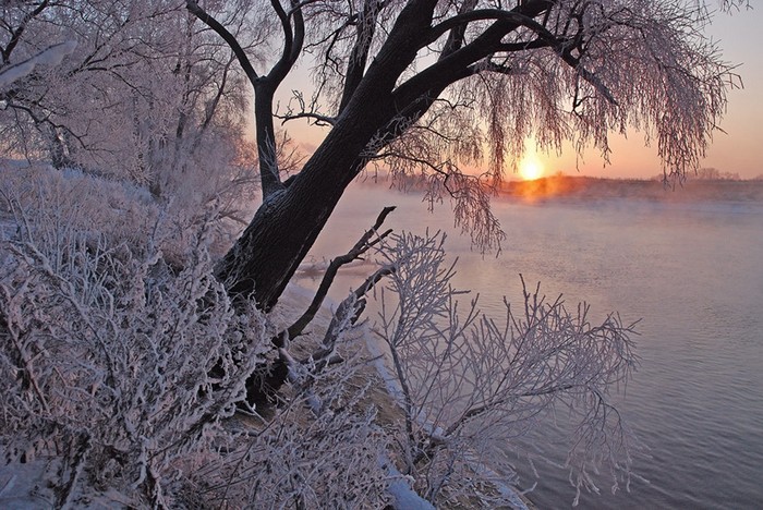 Красивые зимние пейзажи от фотографа Михаила Ткачева
