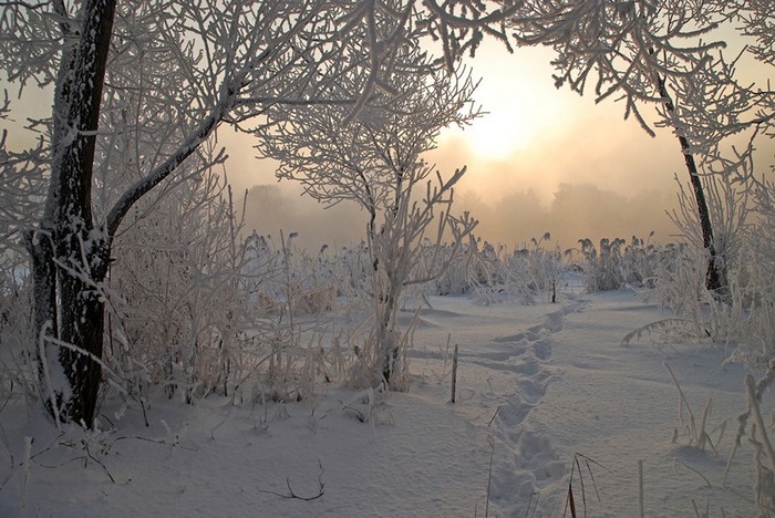 Красивые зимние пейзажи от фотографа Михаила Ткачева