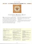  Quick Quilting_064 (504x700, 234Kb)