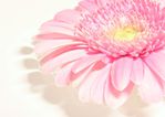  9877dfad4d33 (700x498, 35Kb)