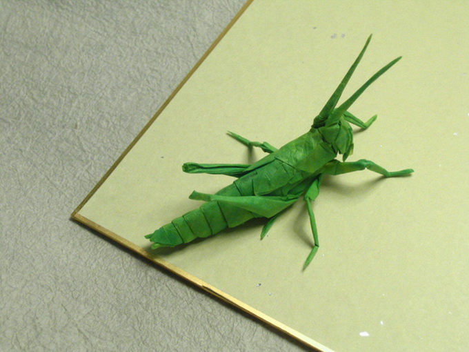 BrianChanOrigamiInsects7 (680x510, 127Kb)