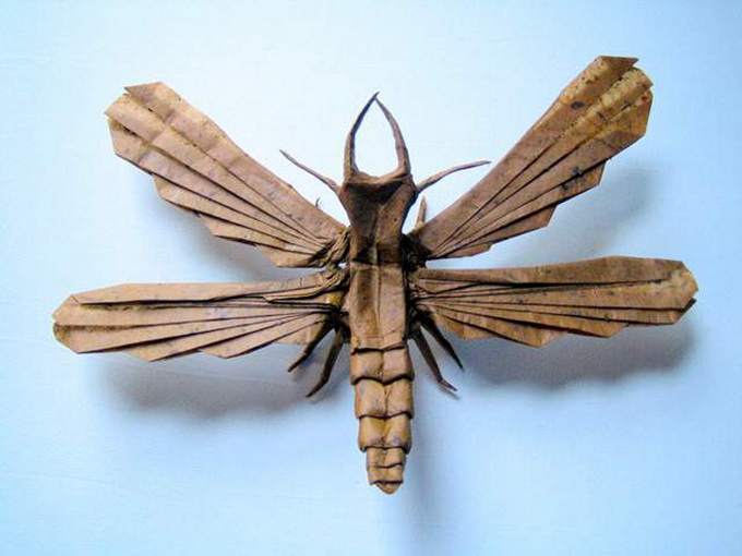 BrianChanOrigamiInsects11 (680x510, 109Kb)