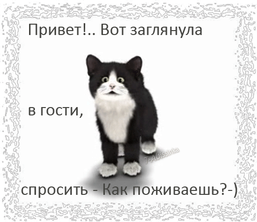 http://img1.liveinternet.ru/images/attach/c/4/82/218/82218821_2478344.gif