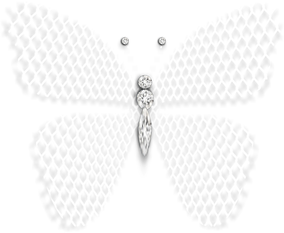 butterfly-1 (567x465, 258Kb)