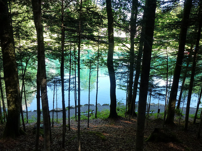 На холодно-синем стекле воды - Blausee 21540