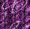  purplecir (61x58, 13Kb)