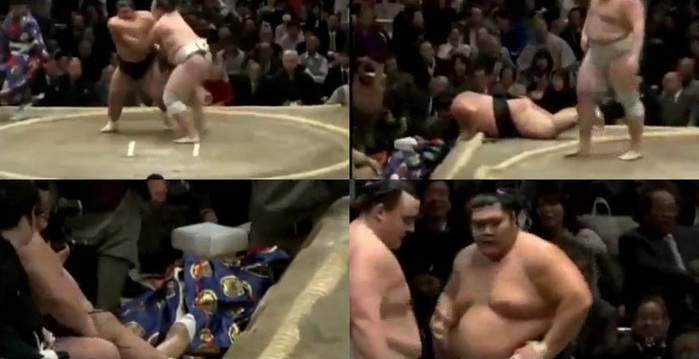 Опасный случай на турнире сумо. Видео. Судья получил травму
