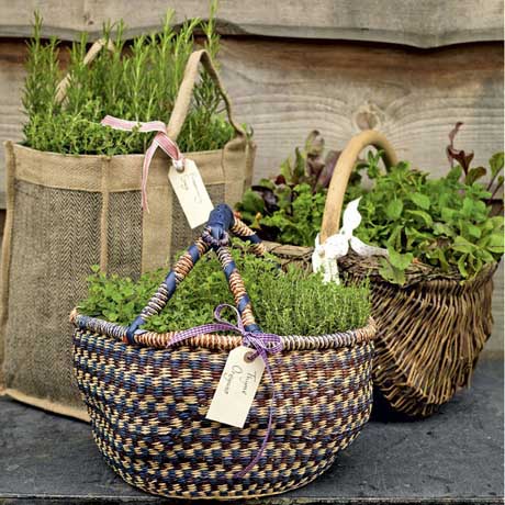 herb-planter-basket (460x460, 86Kb)