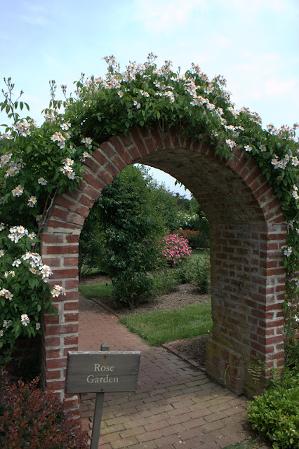 Ladew Topiary Gardens 54619