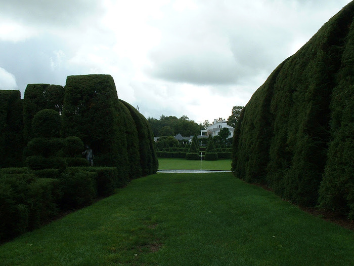 Ladew Topiary Gardens 83899