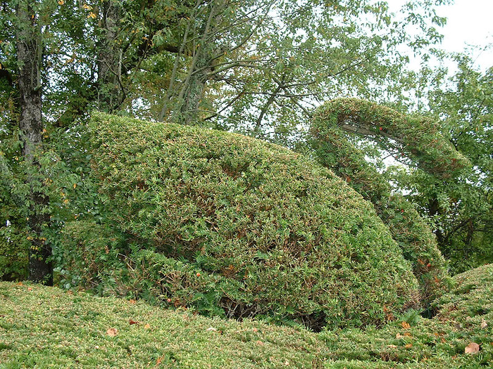 Ladew Topiary Gardens 23978