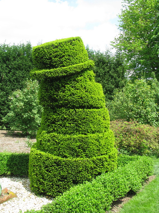 Ladew Topiary Gardens 30288