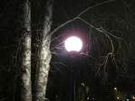  IMG_5863 (700x525, 387Kb)