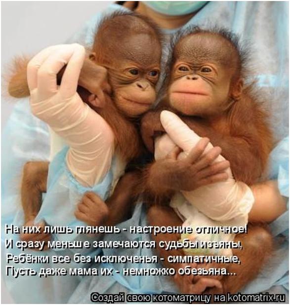 Пригласили только на регистрацию, что подарить - страница 4 - Детки! Поздравления на выпускной вечер 2018