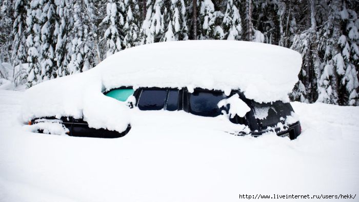 2month_in_car_01 (700x394, 129Kb)