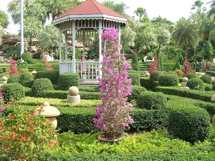 Парк Нонг Нуч (Nong Nooch Tropical Garden) 16509