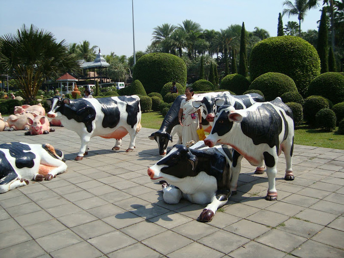 Парк Нонг Нуч (Nong Nooch Tropical Garden) 60199