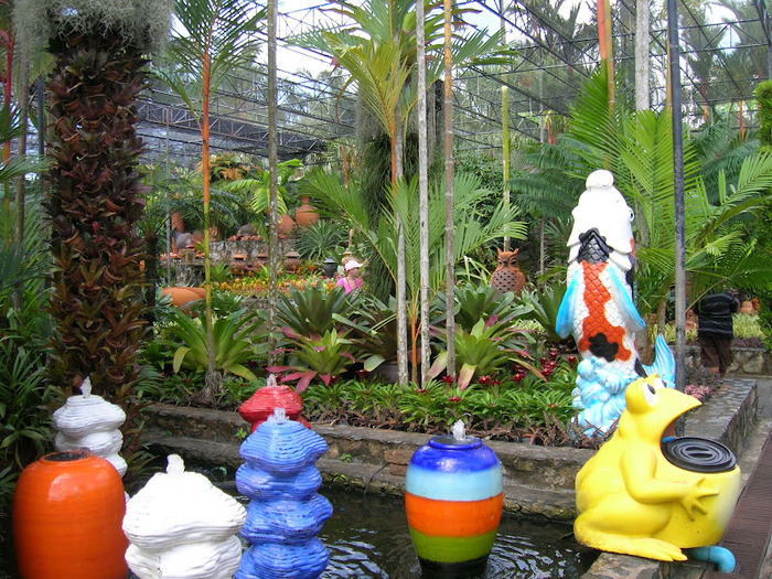 Парк Нонг Нуч (Nong Nooch Tropical Garden) 36677