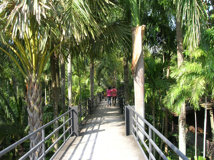 Парк Нонг Нуч (Nong Nooch Tropical Garden) 50095