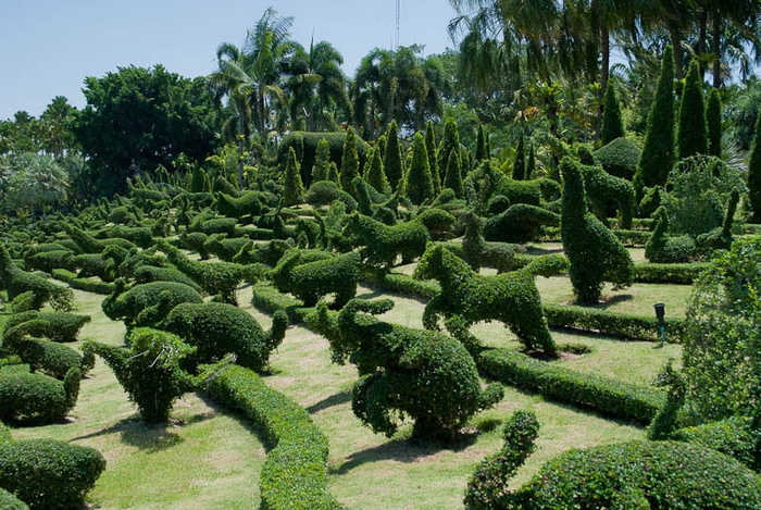 Парк Нонг Нуч (Nong Nooch Tropical Garden) 55567