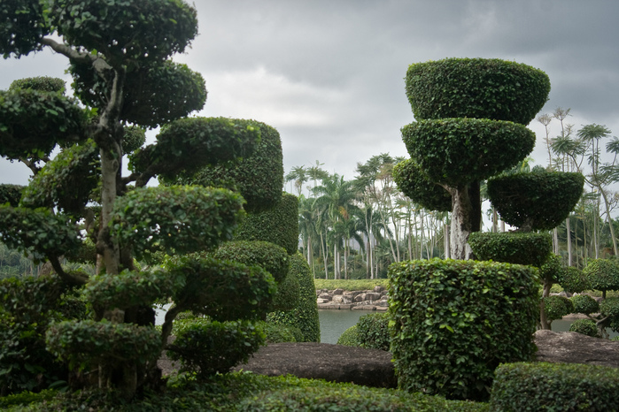 Парк Нонг Нуч (Nong Nooch Tropical Garden) 82077