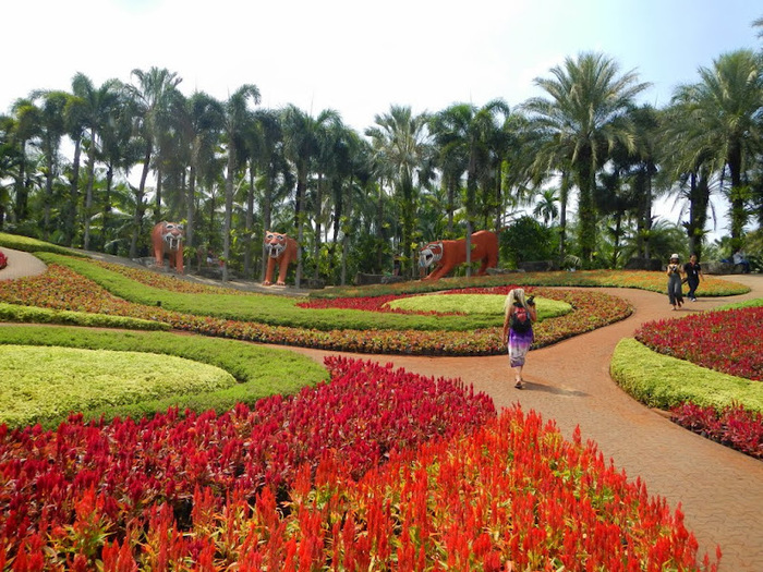 Парк Нонг Нуч (Nong Nooch Tropical Garden) 83257