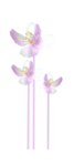  Magic by_Mago74 el (12) (357x700, 72Kb)