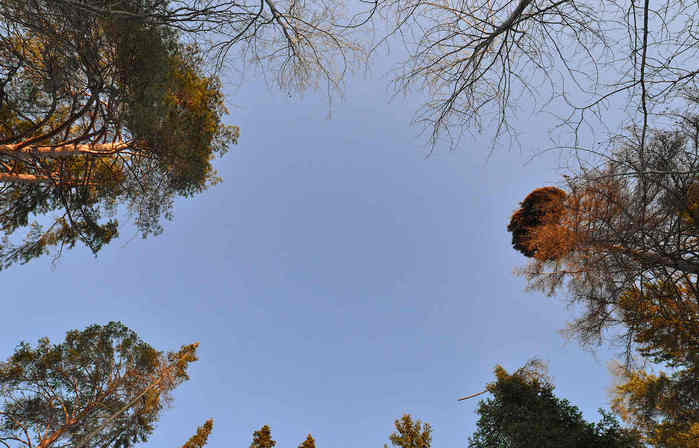 f_20953729 (700x448, 37Kb)