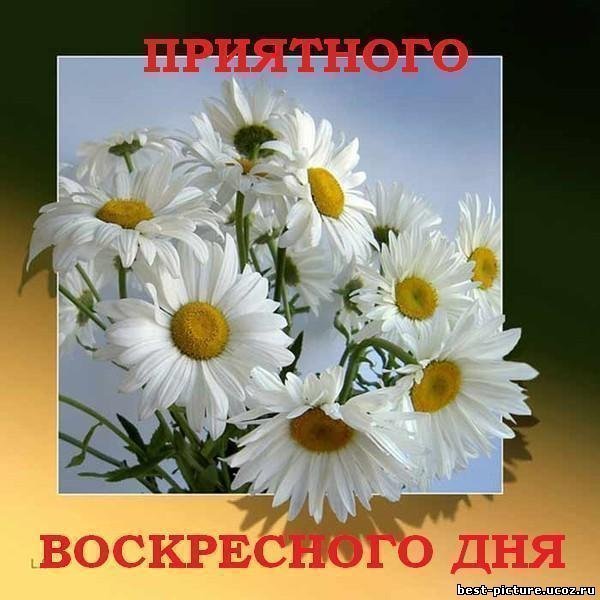 http://img1.liveinternet.ru/images/attach/c/4/84/40/84040281_dobroe_utro_voskresenya.jpg