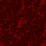 Превью dark_red_opal_pattern (285x285, 8Kb)