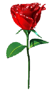 роза (170x296, 11Kb)