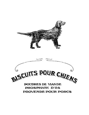 4829436_french_dog_bisquit_graphicsfairy_sm (309x400, 15Kb)