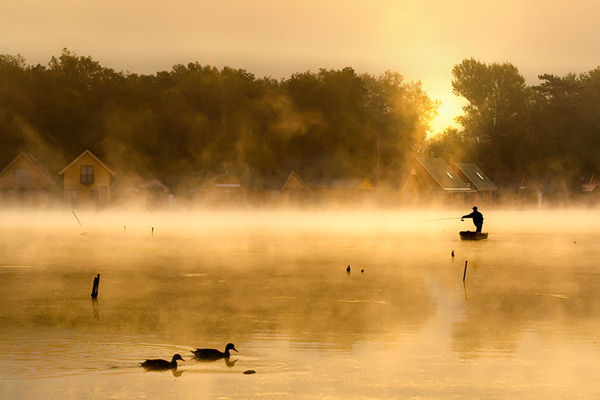 image_56150211031114949981 (600x400, 174Kb)