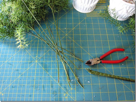 How-to-make-a-topiary-cut_thumb (554x417, 102Kb)