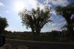  img_2245 (700x467, 62Kb)