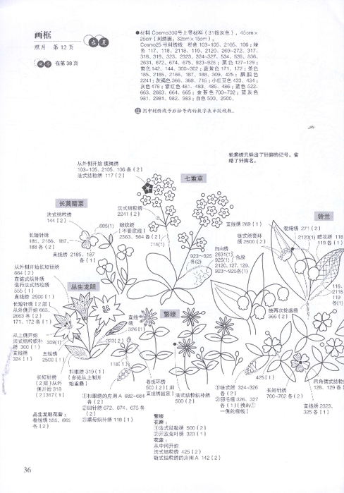 鲁冰花